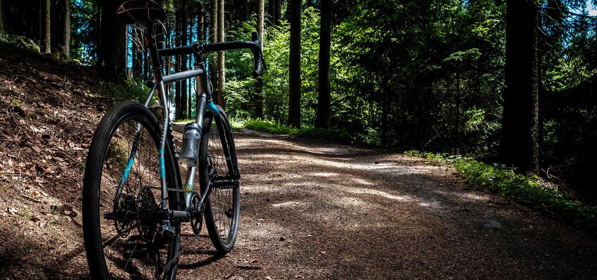 Bici gravel nel bosco